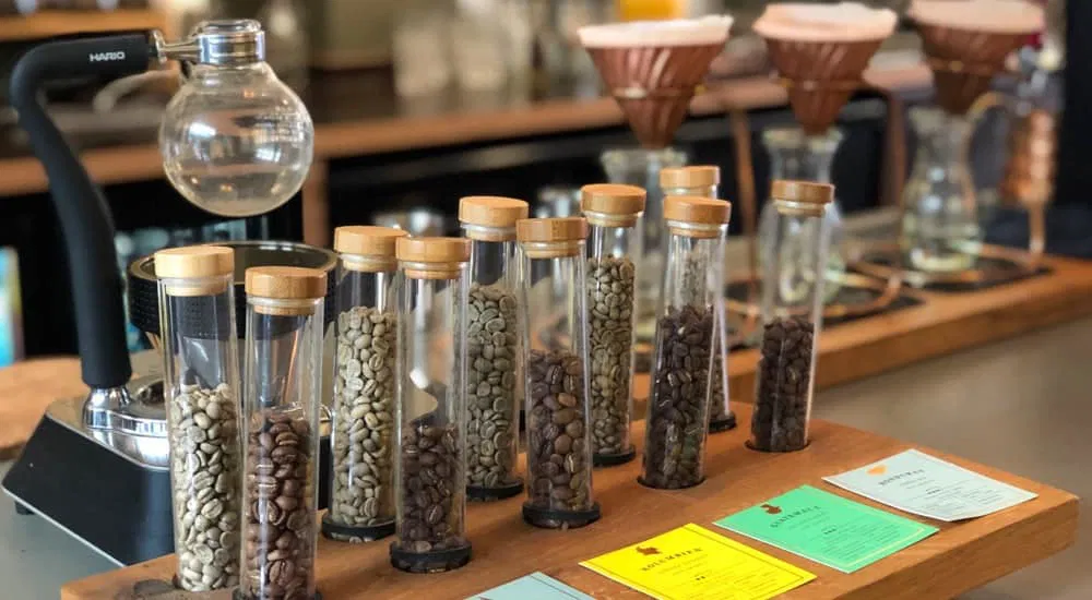 Kaffeebohnen Test - Proben