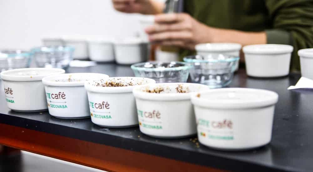 Cupping - immer mehrere Kaffeetassen