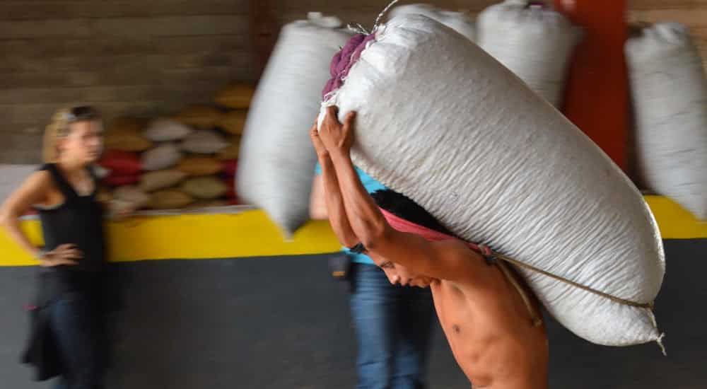 Happy Coffee aus Chiapas Mexiko - Direct Trade