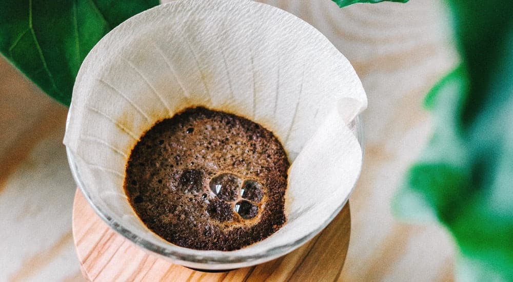 Wasserkessel - Blooming