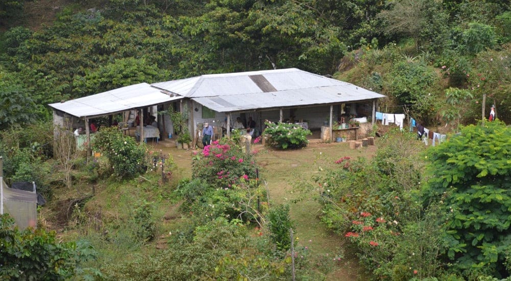 Mexiko Chiapas - Tierra Nueva Kooperative