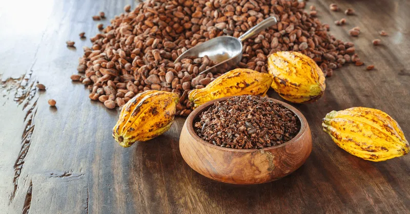 Kakaobohnen: Die natürliche Art der Schokolade - alles über Anbau, Verarbeitung und Qualitätsprodukte