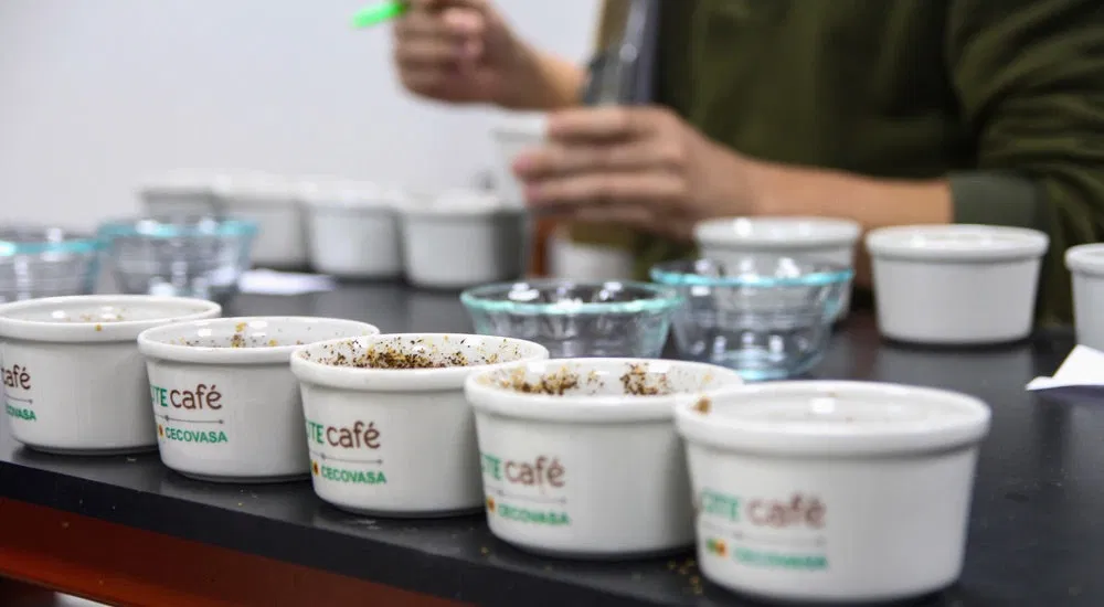 Peru Kaffee - Cupping in Puno / Cecovasa