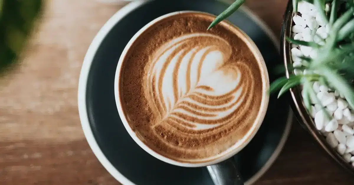 Cappuccino: Hol‘ dir unsere Zubereitungstipps und Wissen zum Fachsimpeln