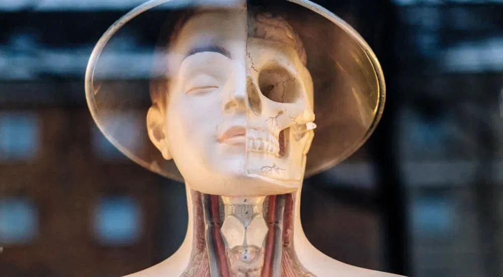 Ayurveda - Ganzheitliche Medizin