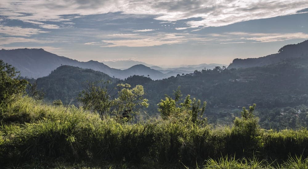 Permakultur in Sri Lanka - Hochland