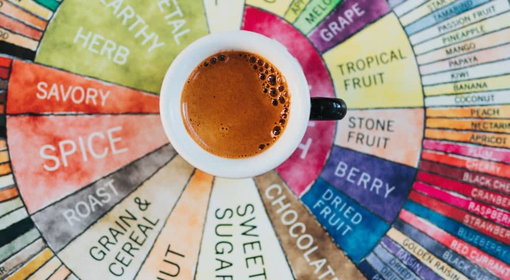 Cupping - SCA Flavor Wheel