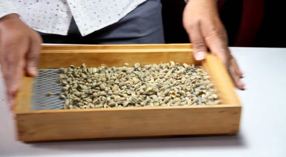 Grüner Kaffee