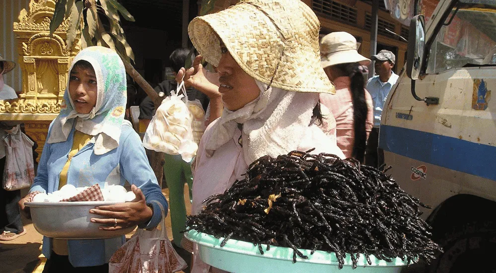 Insekten essen - Asien