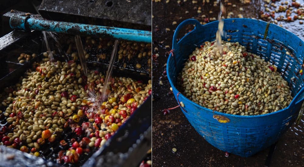Kaffeeaufbereitung - Washed Coffee - nasse Aufbereitung - Wet Mills