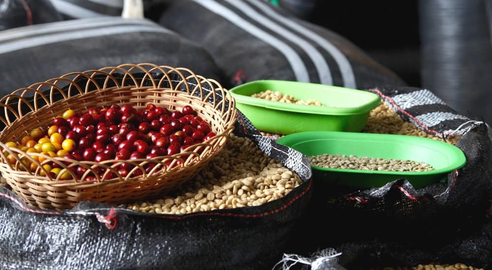 Kaffeebohnen - Säcke