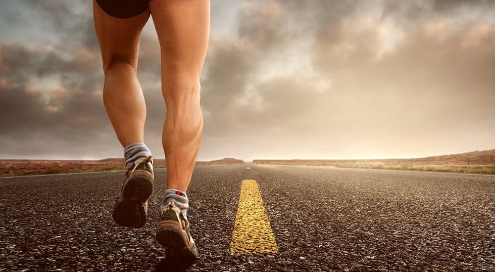 Chlorogensäure oder Sport?
