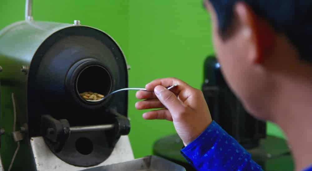 Cupping - Sample Roaster