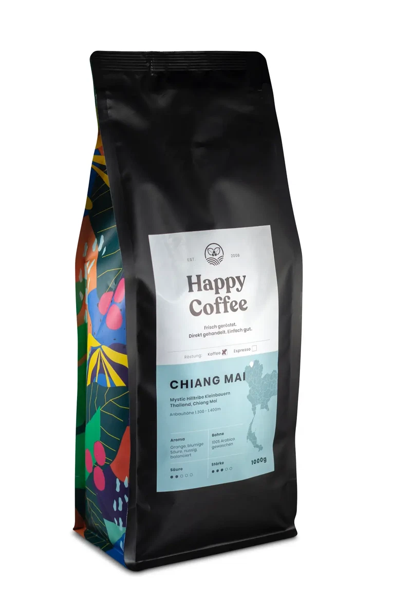 Chiang Mai - Image 2