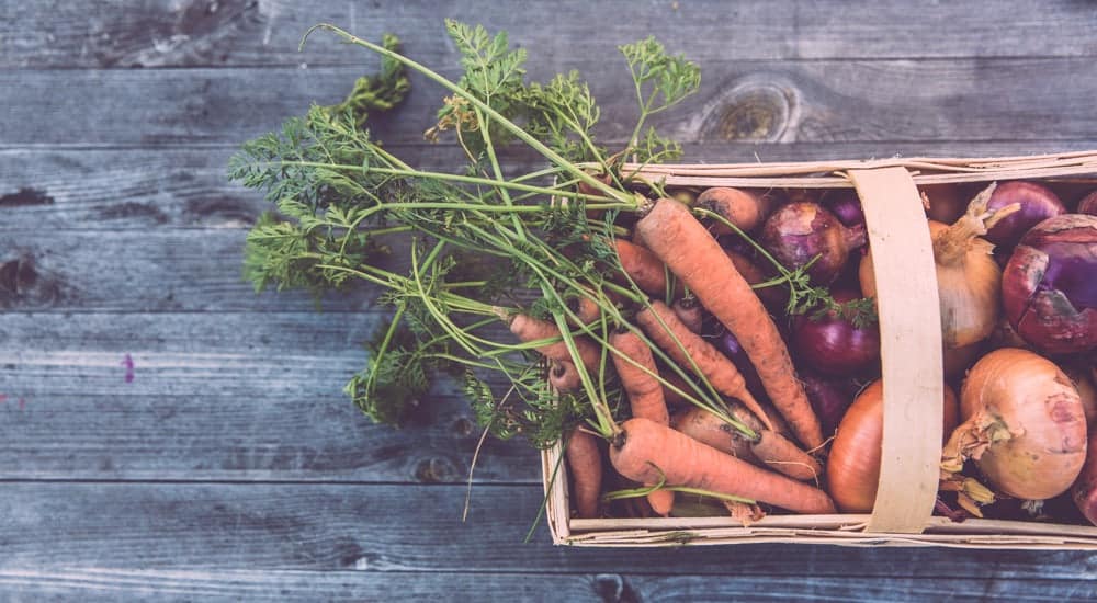 LOHAS - regional und gesund einkaufen