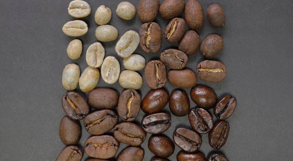 Kaffeepause in Finnland - Light Roasts