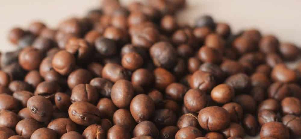 Lupinenkaffee - ger&ouml;stete Lupinensamen - Kornkreis