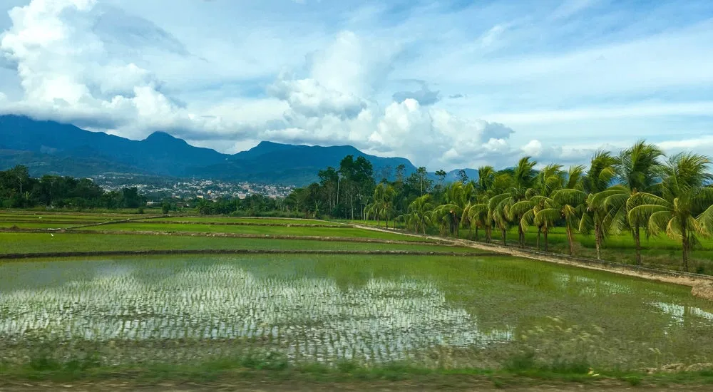 Kaffee aus Peru - Der Norden