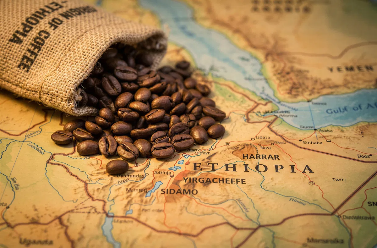 Äthiopien Kaffee & Co: Wissenswertes zum Kaffeeanbau in Afrika