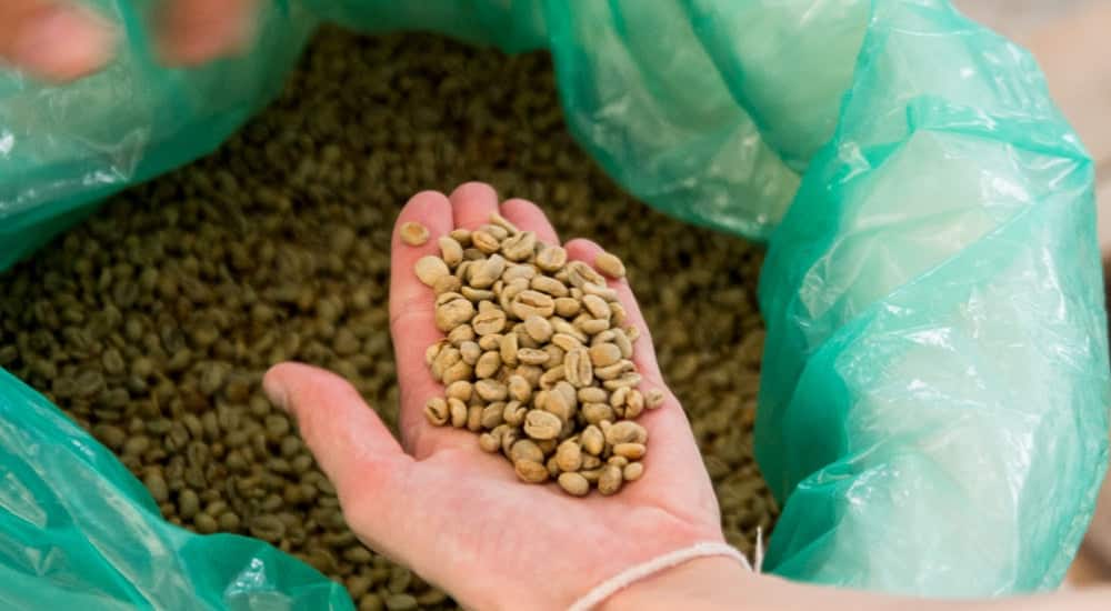 Specialty Coffee - Rohbohnen