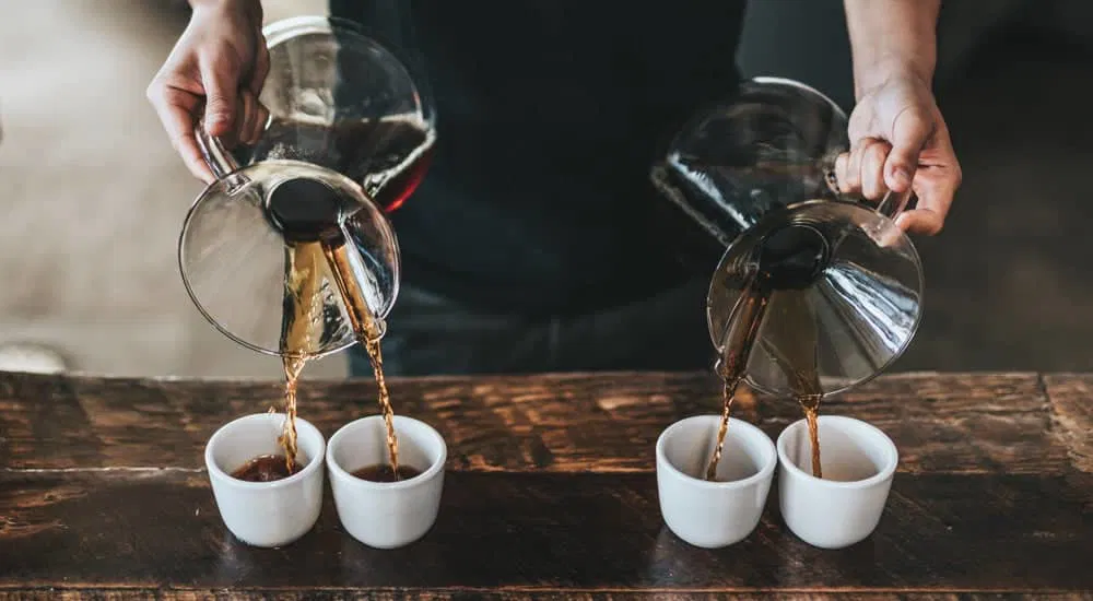 Cupping - Kaffeeverkostung zu Hause