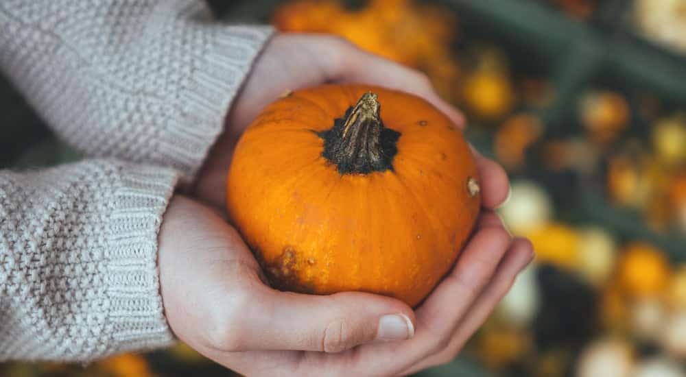 Clean Eating - Lebensmittel