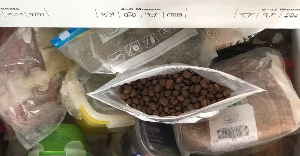Kaffee einfrieren: Dürfen deine Bohnen wirklich ins Gefrierfach?