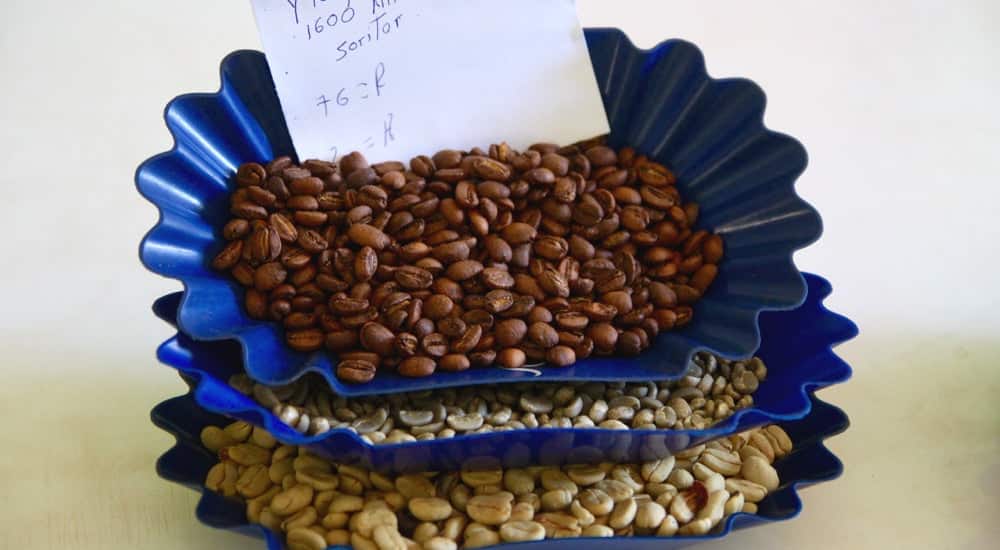 Cupping - Kaffeebohnen Erscheinungsbild