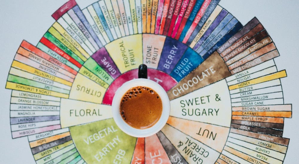 Kaffeebohnen Test - Aroma Rad